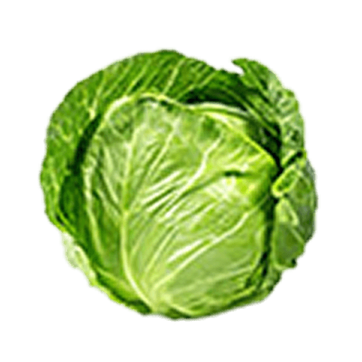 Green Cabbage - Fresh and Crunchy, Organic
