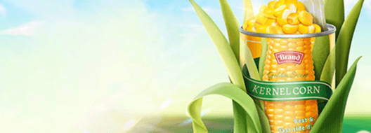 MedPlus Pharmacy banner